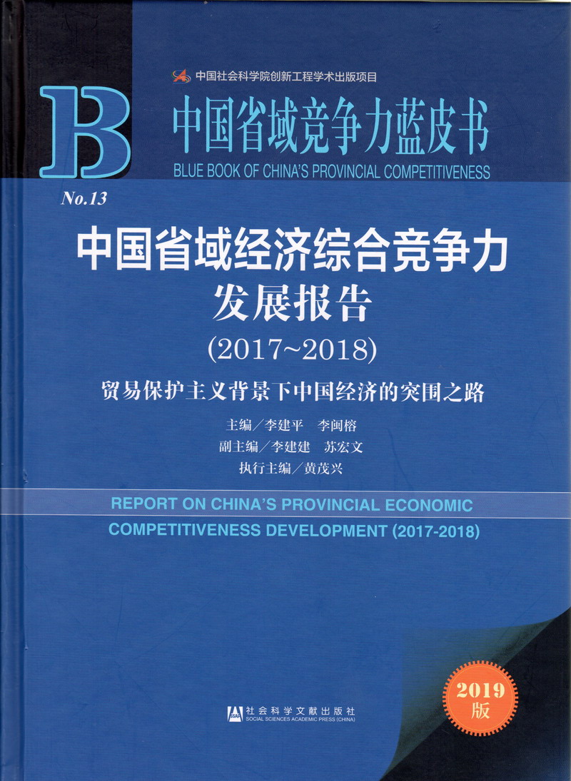 俄罗斯大鸡巴日必中国省域经济综合竞争力发展报告（2017-2018）