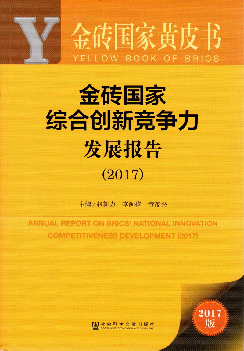 美女和帅哥导珅免费网站金砖国家综合创新竞争力发展报告（2017）